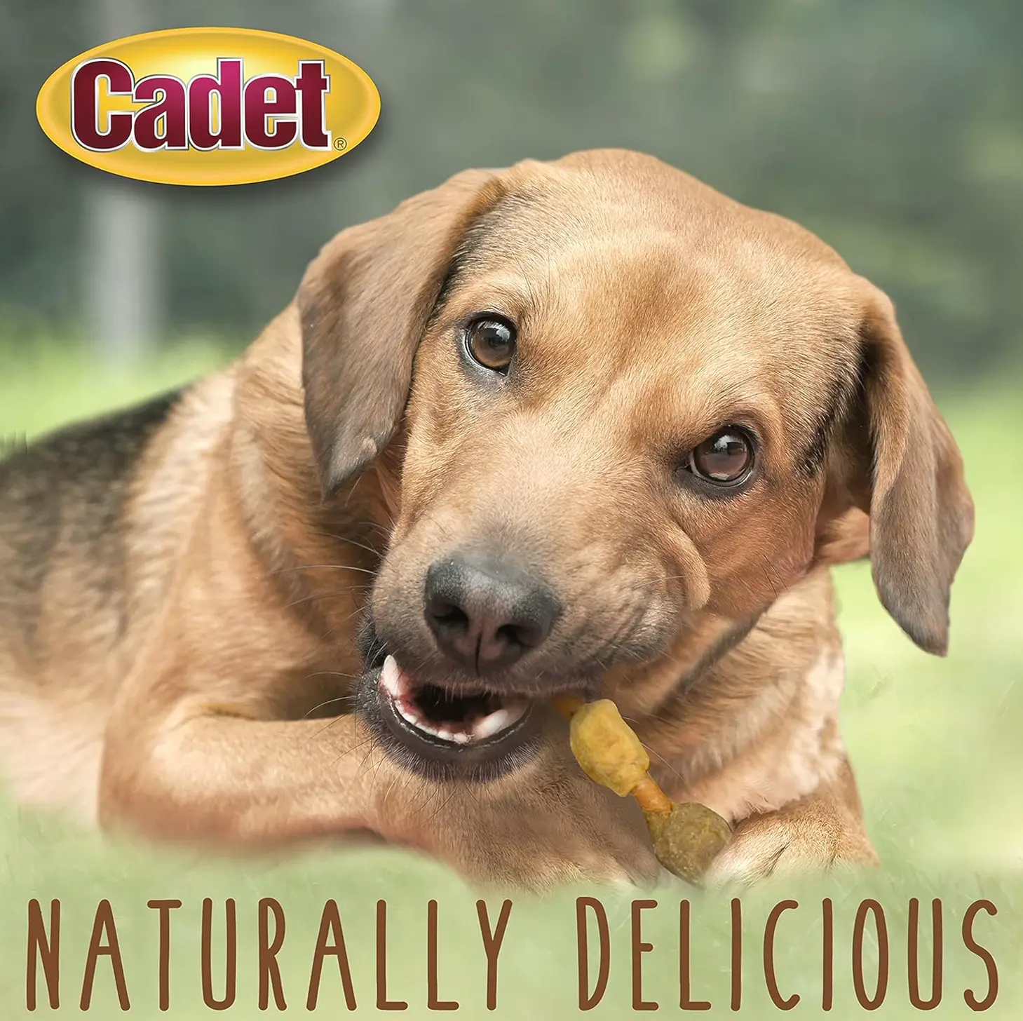 Gourmet Pork Kabob Pet Treats 5" (18 Count)