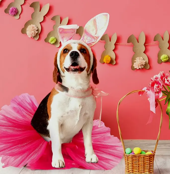 2 Pcs Dog Crown and Tutu Dress Set for Parties and Photos