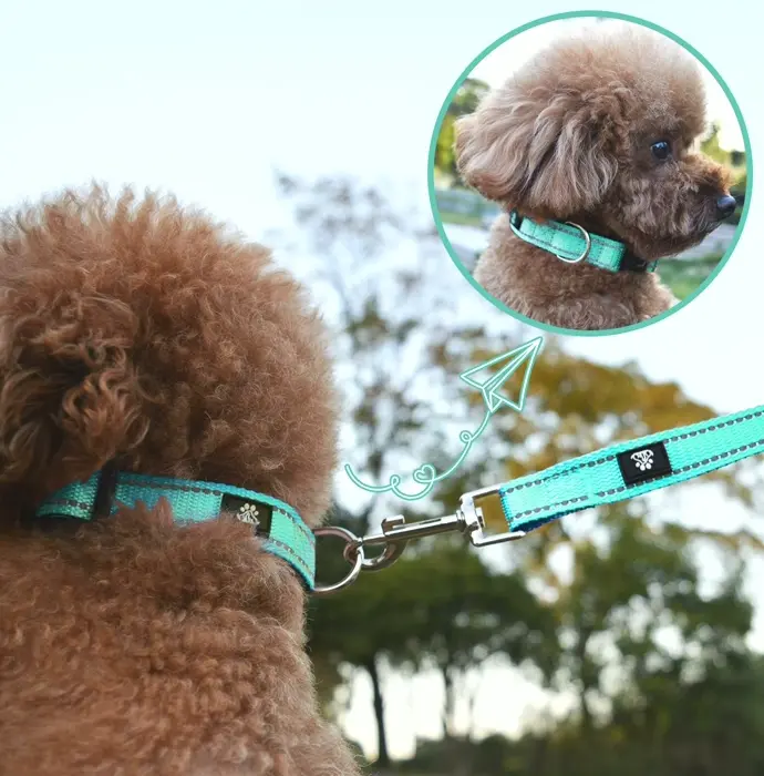 Reflective Dog Collar and Leash Set