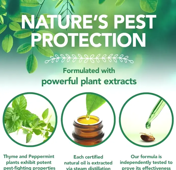 Vet's Top Parasite Treatment for Dogs - 1 Fluid Ounce