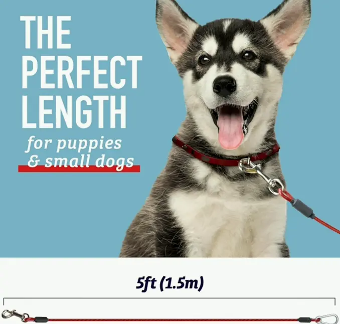 Durable Pet Tether Leash for Large Dogs - 5 Ft Chew-Proof
