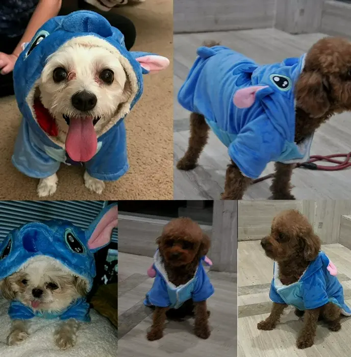 Pet Costume Hoodie for Christmas - Small