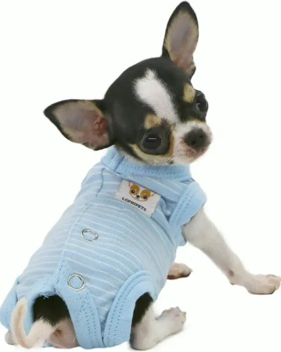LOPHIPETS Dog Apparel Recovery Outfit Pajamas - Extra Small