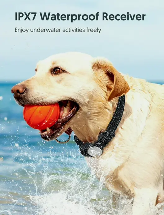 PETPET Dog Teaching Device and Controller