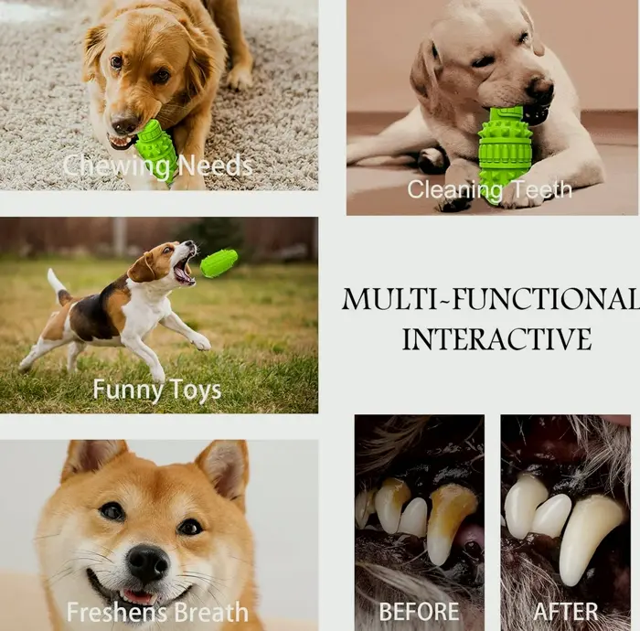 Natural Rubber Dog Toy for Large Chewers