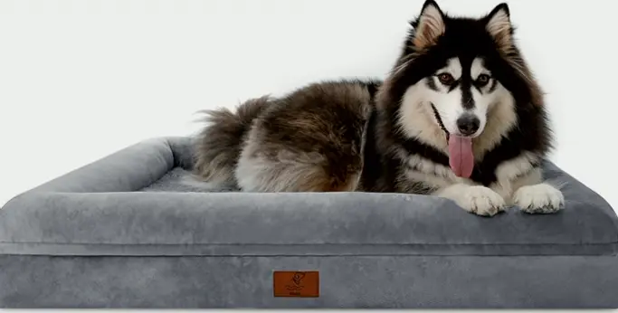 XL Orthopedic Dog Bed with Detachable Covers