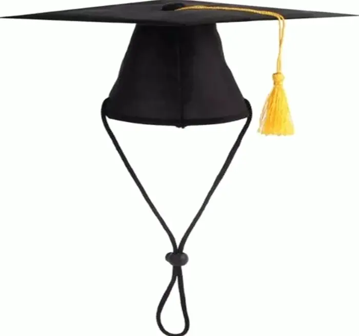Animal Graduation Caps with Yellow Tassel