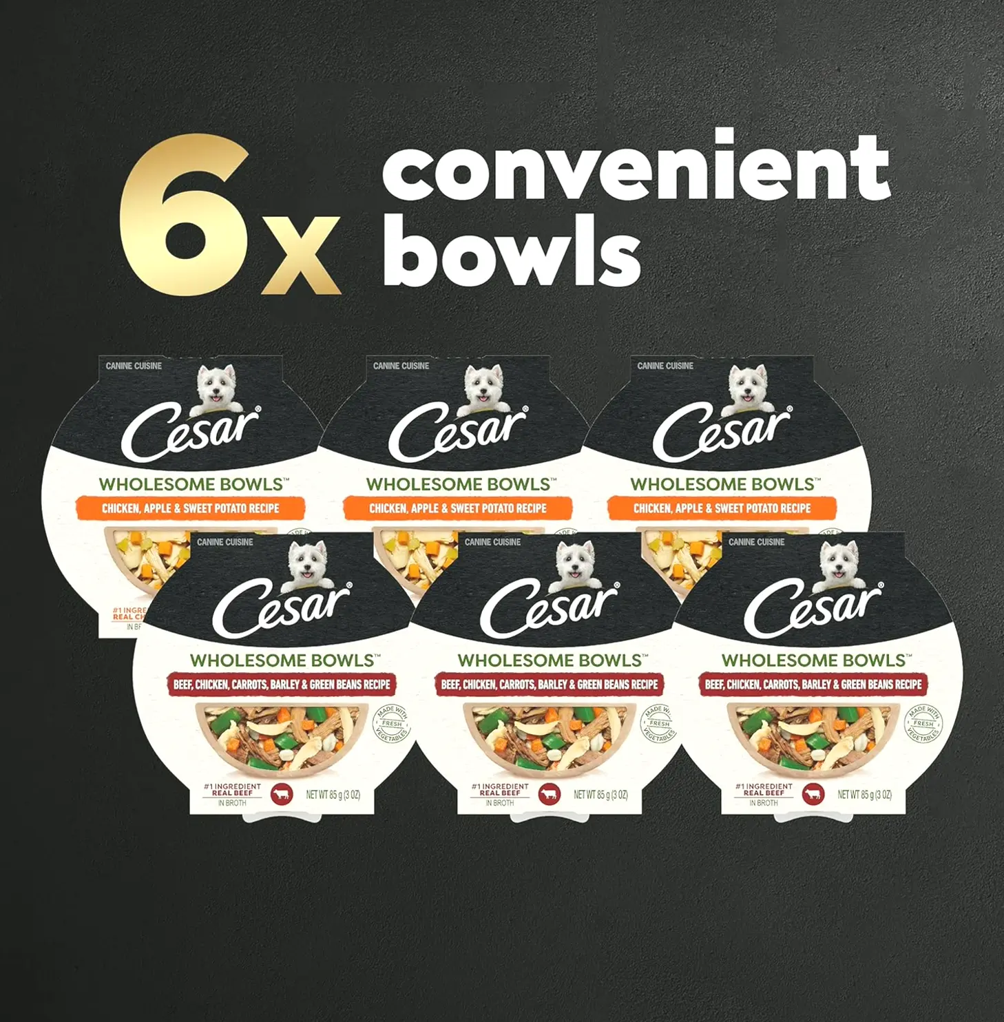 CESAR Wholesome Bowls Mix