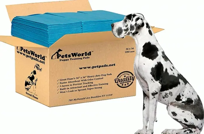 Gigantic Pee Training Pads for Pets - Smell Eliminating 36" x 36" - Pack