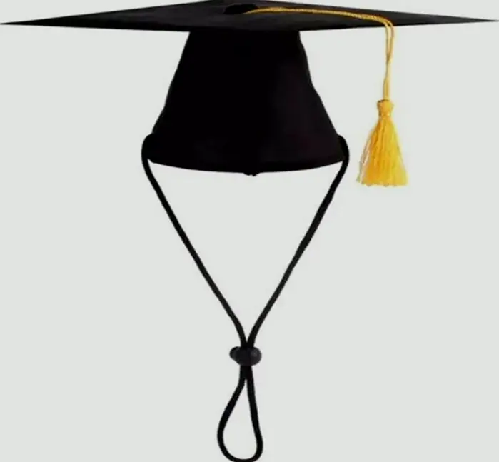 Pet Graduation Hat with Yellow Fringe