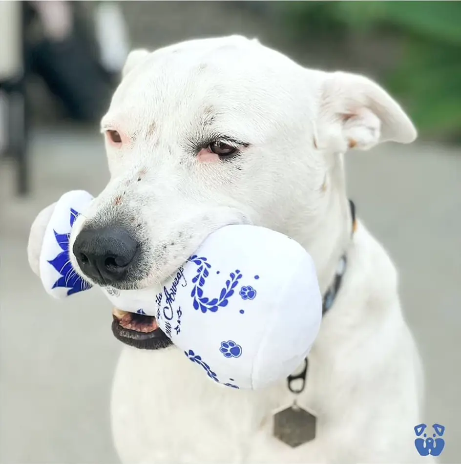 Paws Awoof Dog Toy - Durable Soft Squeaky