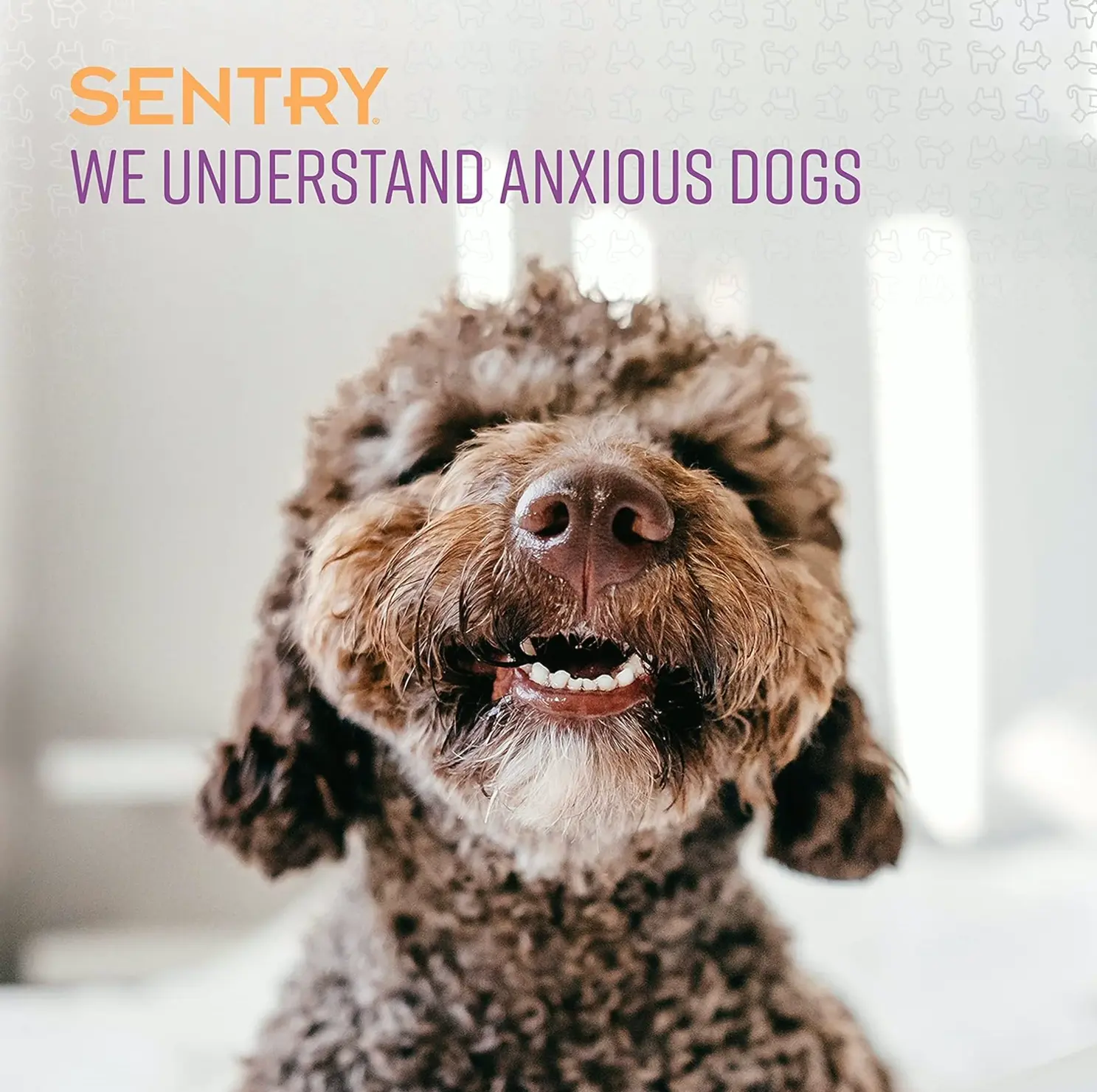 Sentry Animal Soothing Spray for