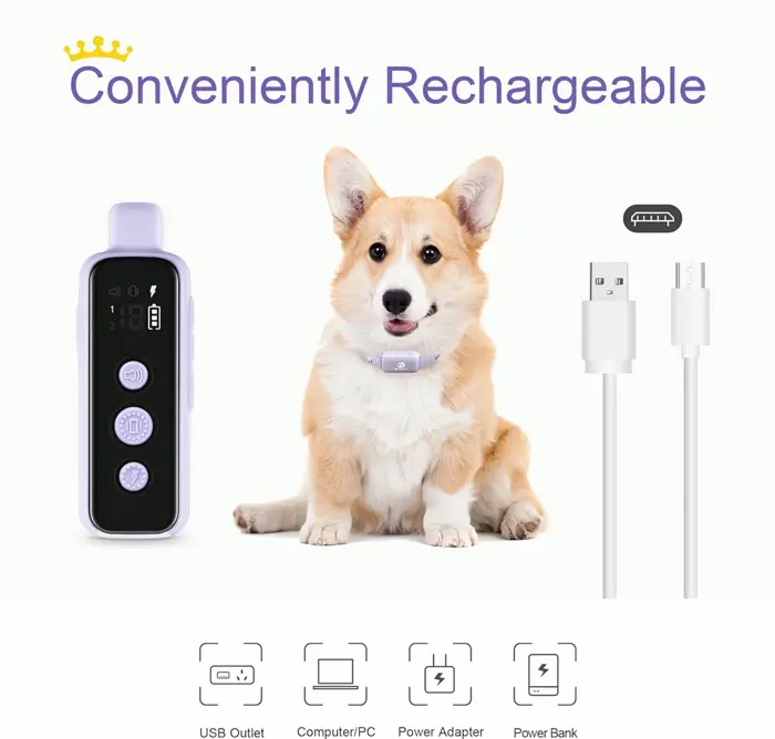 Bousnik Water-Resistant Dog Coaching Collar Violet