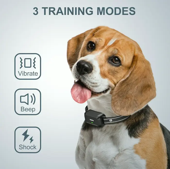 Dog Teaching Device - Wireless Control, 1600FT, Water-Resistant