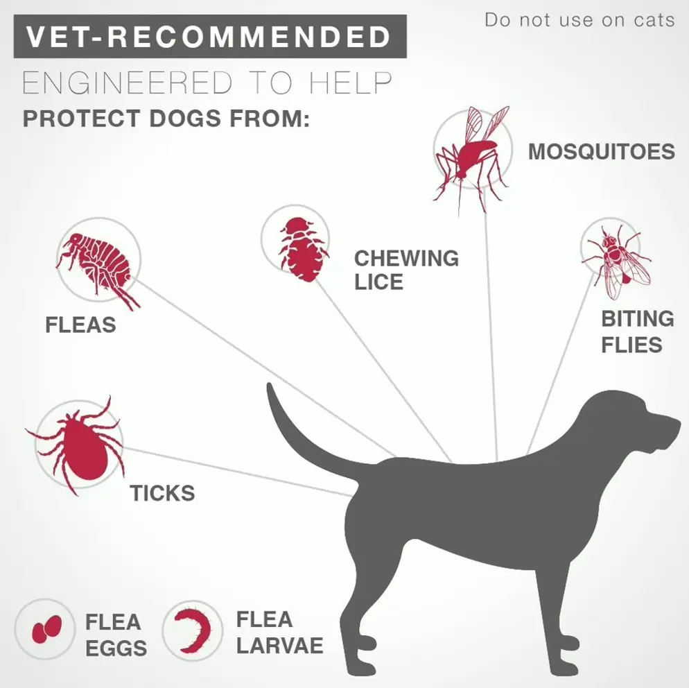 Flea+Tick Drops 6 Doses