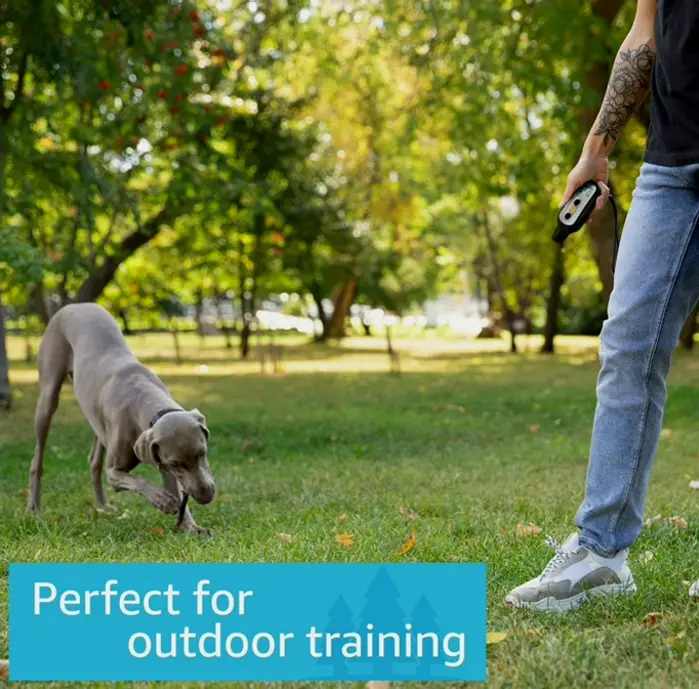 PetSpy Trainer Electric Band for Dogs