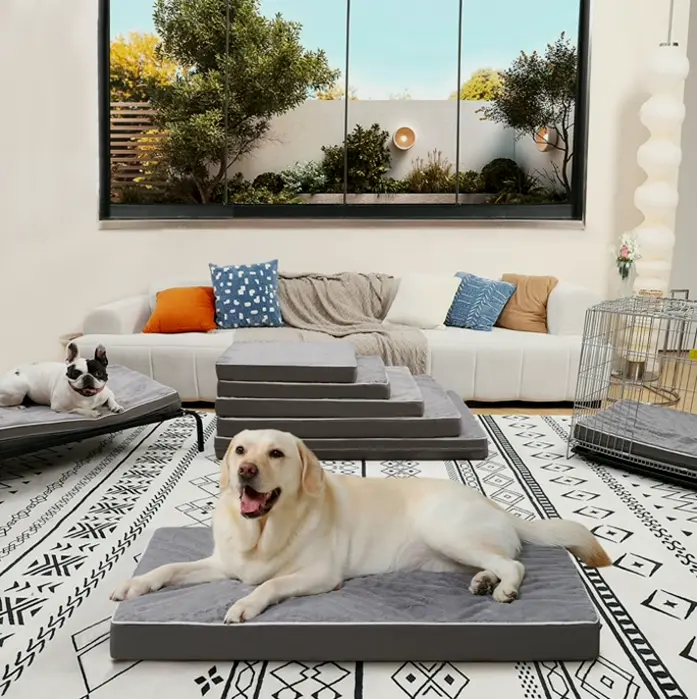 Orthopedic Dog Bed made for Large Dogs - Foam & Machine-washable Cover, 36" x 27", Supports up to 65 lbs