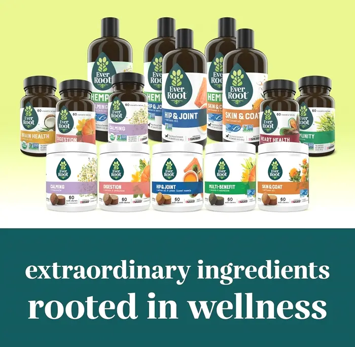 Purina Dog Chews - 10.6-ounce Canister