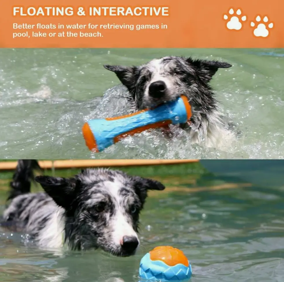 Dog Noise-Making Beach Toys for Interactive Play