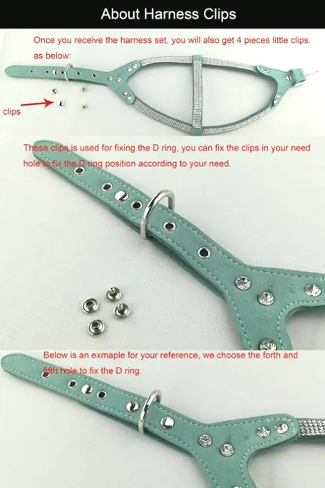 Bowtie Puppy Collar Kit with Harnessing & Lead - Blush