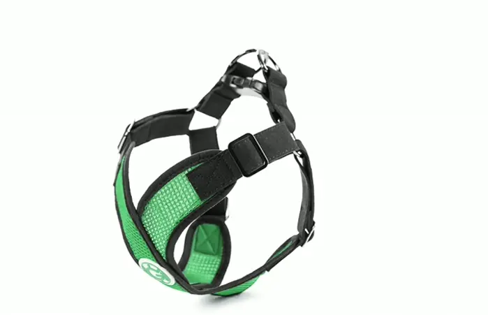 Goby - X Harness for Dogs, Small Dog Choke-Free Step-in Strap, Big