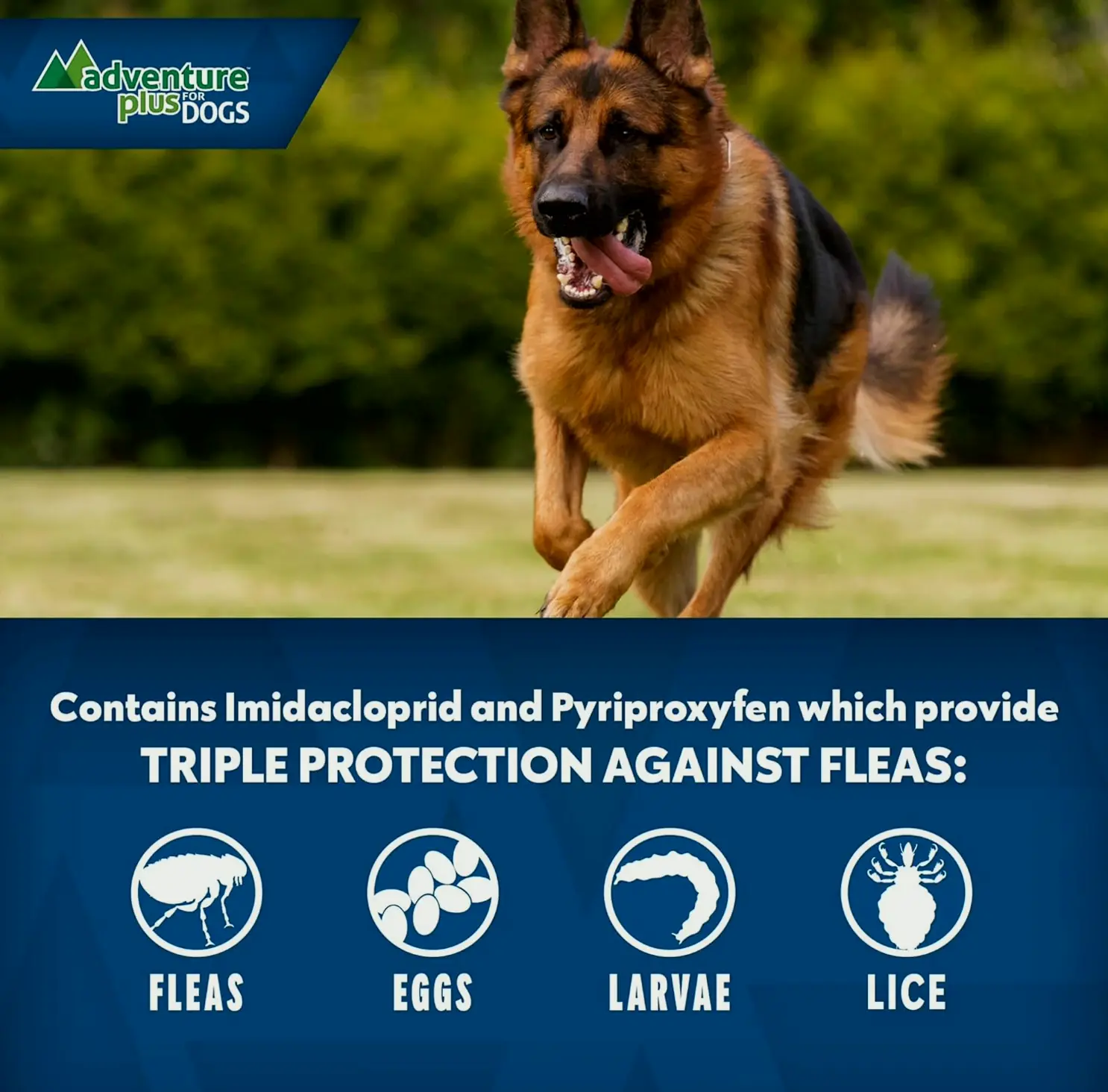 Threefold Pest Protection for Dogs - Topical Prevention - XL Dogs 55+ lbs