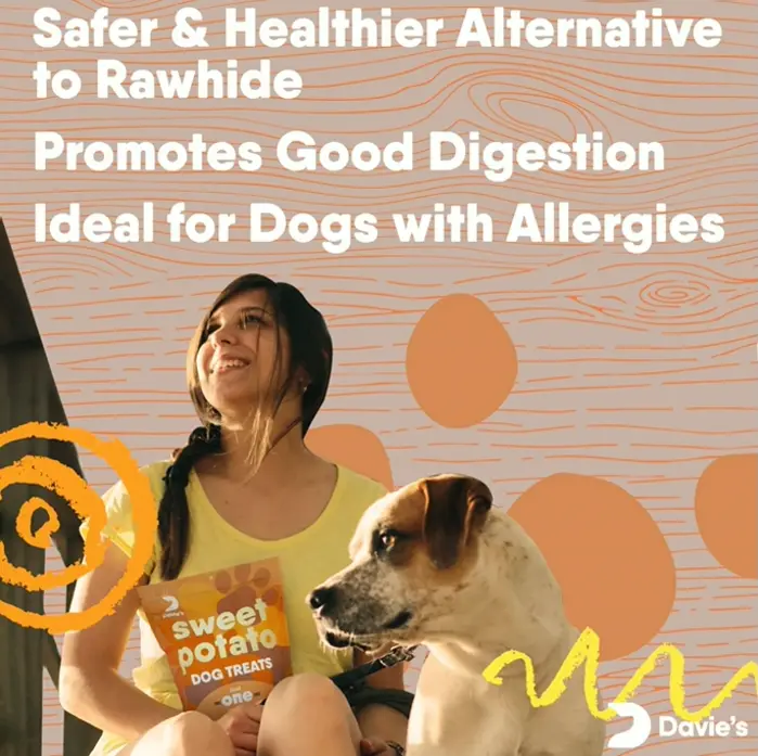 Wholesome Veggie Dog Treats for Training - No Grains