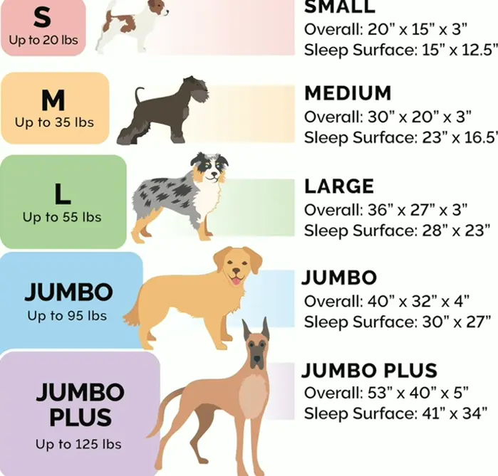 FurHaven Supportive Dog Bedding w/ Washable Cover