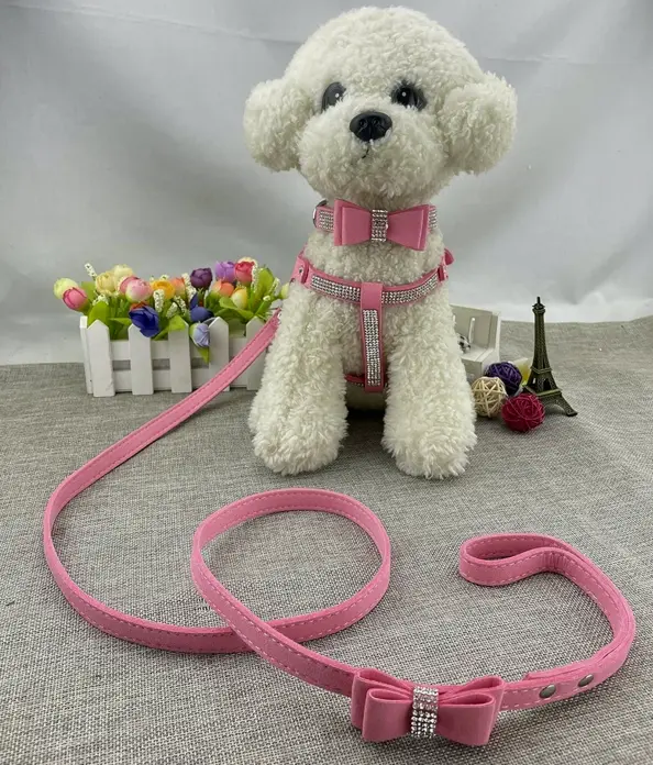 Bowtie Puppy Collar Kit with Harnessing & Lead - Blush