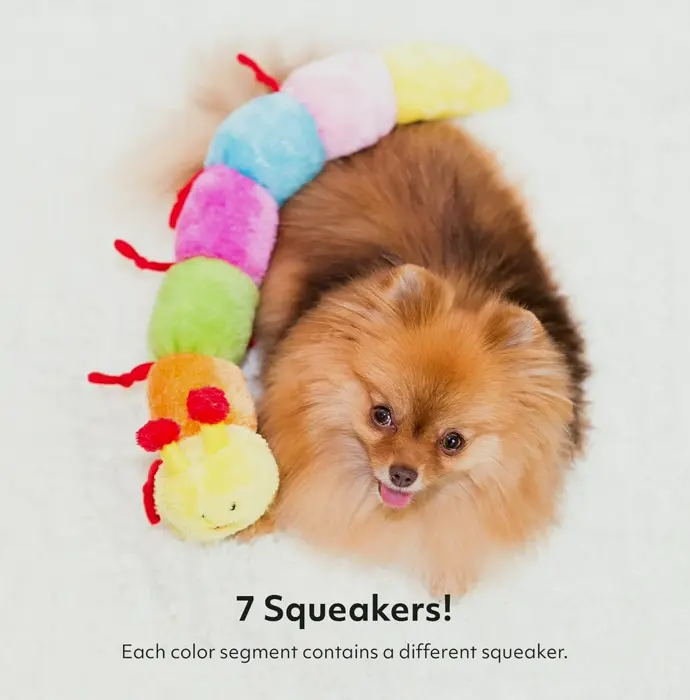 Vibrant Caterpillar Puppy Plaything with Squeakers