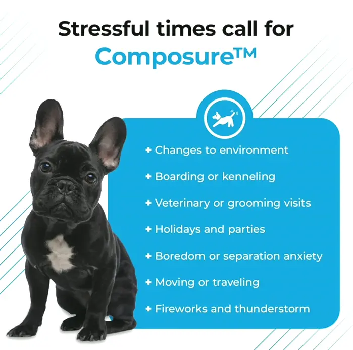 Soothing Treats for Nervous Pups - 30 Chews