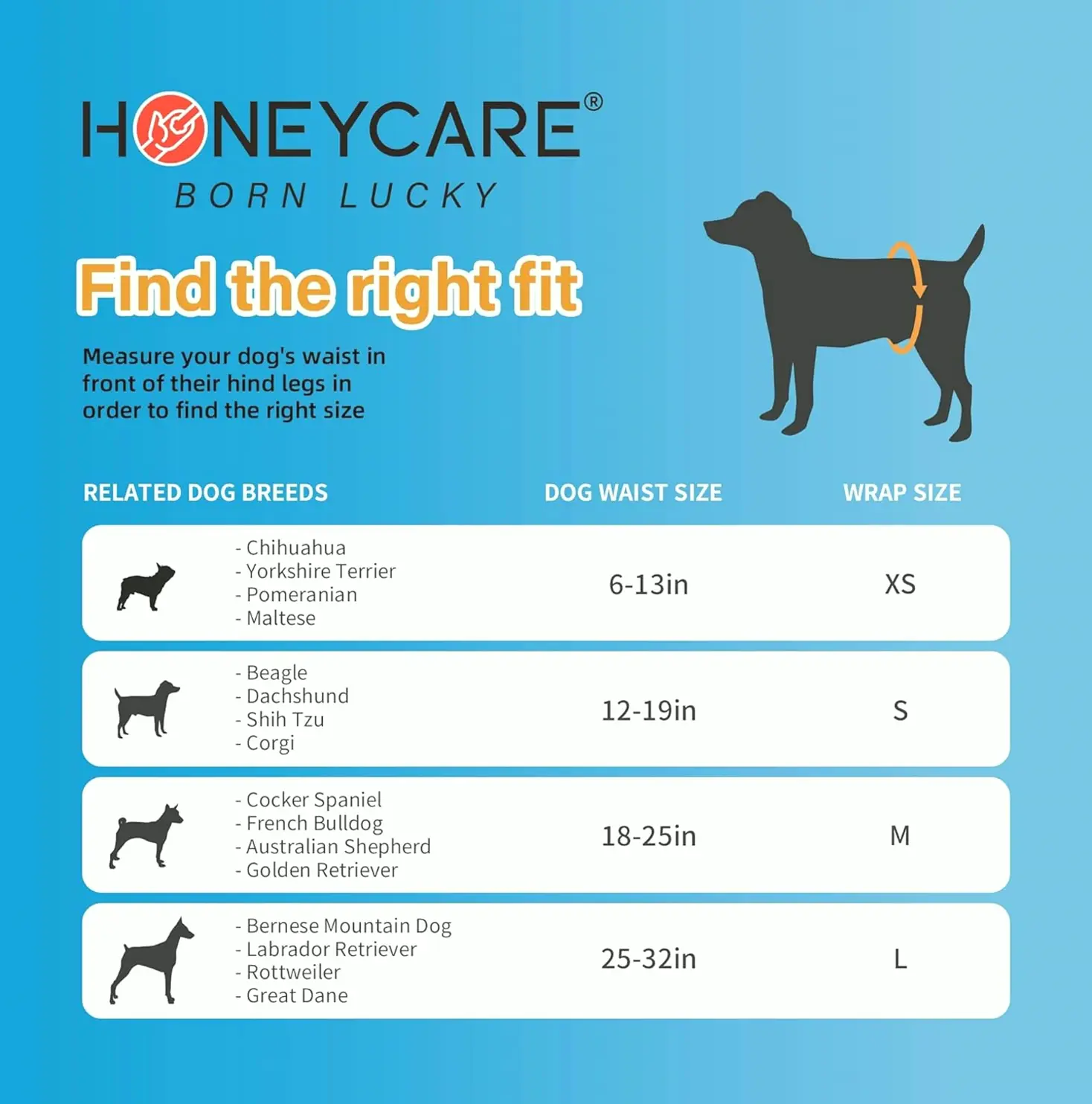 Puppy Diapers for Male Dogs, Small (50 Count)