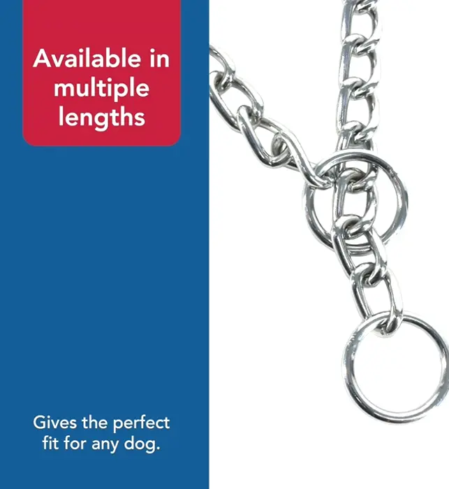 Durable Metal Dog Training Collar