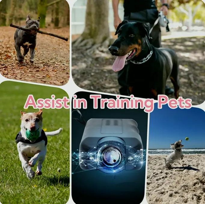 Bark-Control Dog Device Featuring Sonic Modes