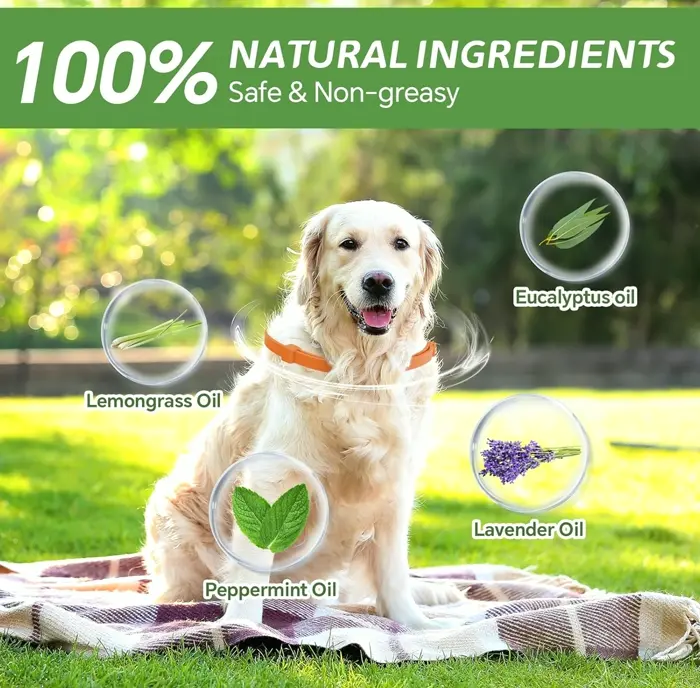 4-Pack Flea Collar for Puppies - 8-Month Protection