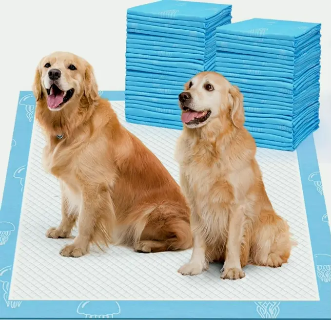 36x36in Dog Pee Pads - Super Absorbing, Marine Fragrance (Pack Count)