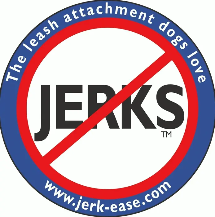 Bungee Dog Leash Extension with Shock Resistance