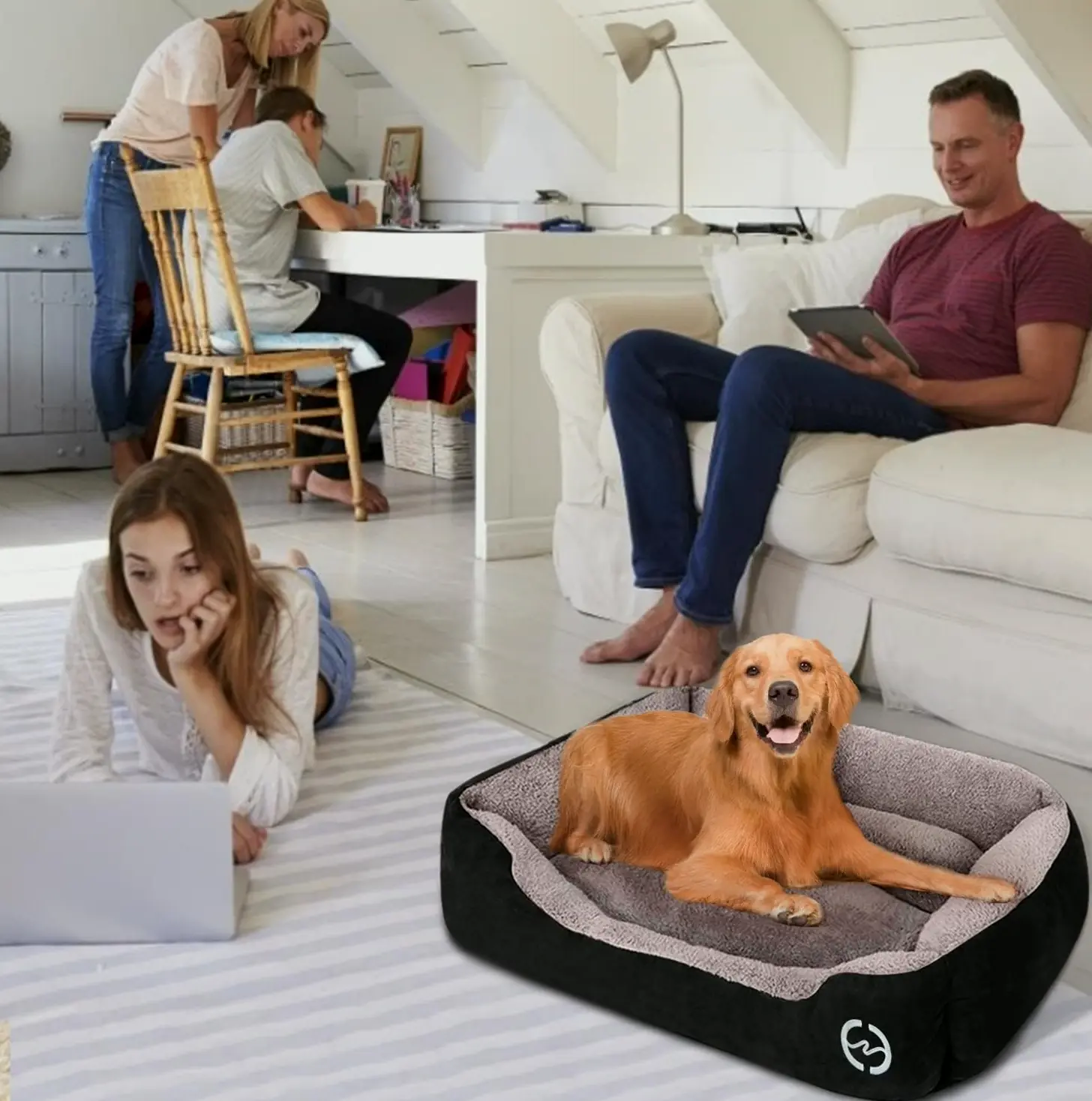 Comfy Washable Dog Bed with Orthopedic Construction for Large Dogs