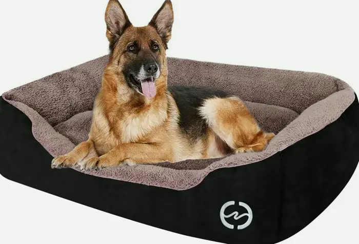 Comfy Washable Dog Bed with Orthopedic Construction for Large Dogs