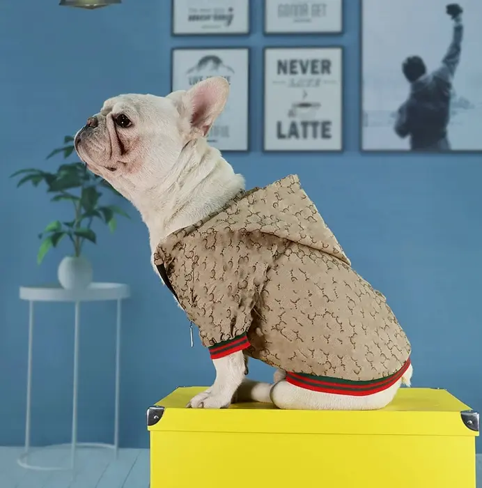 Elegant Pet Sweater for Winter with Hood