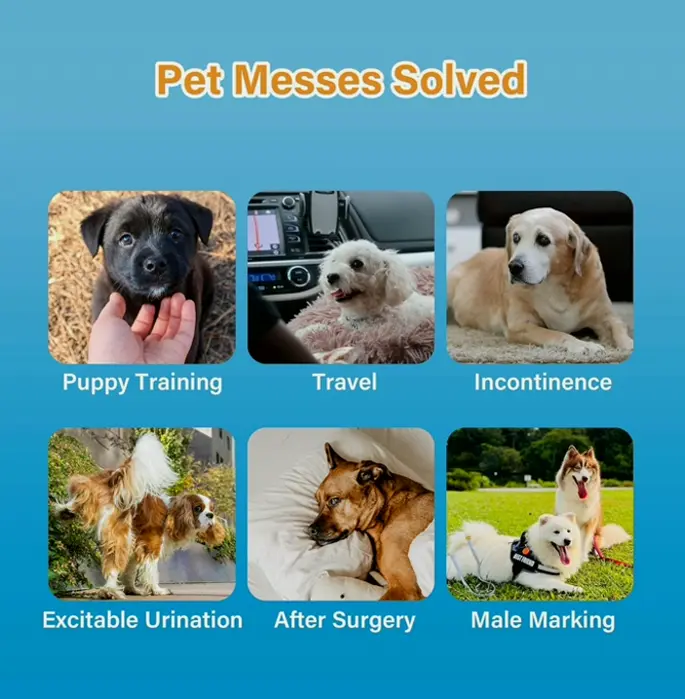 Puppy Diapers for Male Dogs, Small (50 Count)