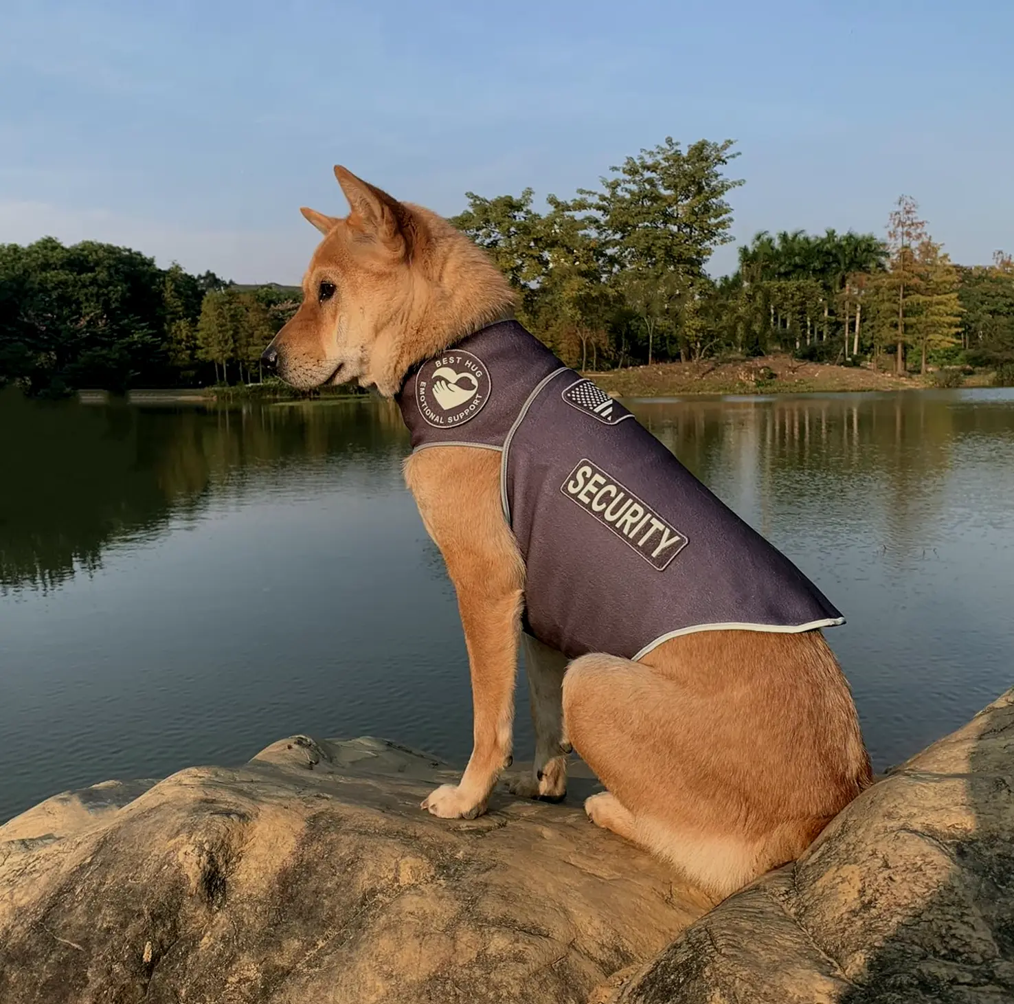 Customizable Pet Shirts: Calming Jacket & Suit - Multi-Functional Gray XS