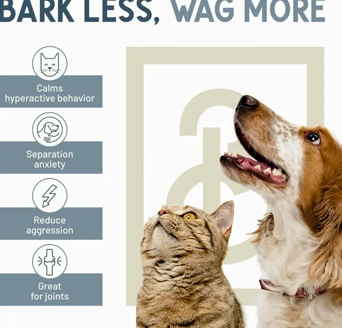 High-quality Hemp Oil for Dogs & Felines - Relieves Stress, Supports Joint Wellness