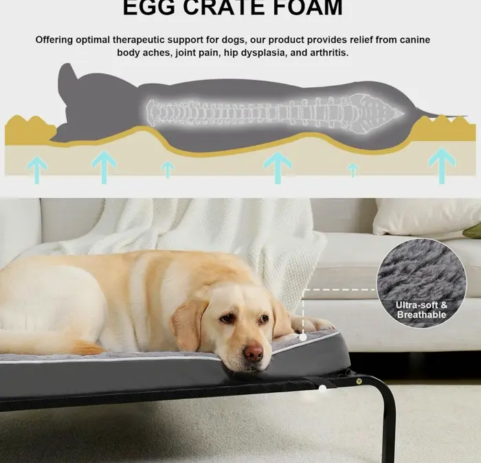 Orthopedic Dog Bed made for Large Dogs - Foam & Machine-washable Cover, 36" x 27", Supports up to 65 lbs