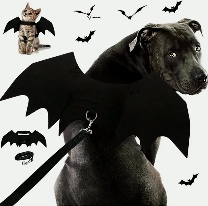 Halloween Puppy Bat Outfit with Leads