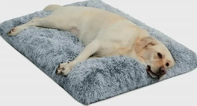 Spacious Dog Bed Ideal for Mid-Sized Pets & Felines - Warming, Anti-Slip, Comfy