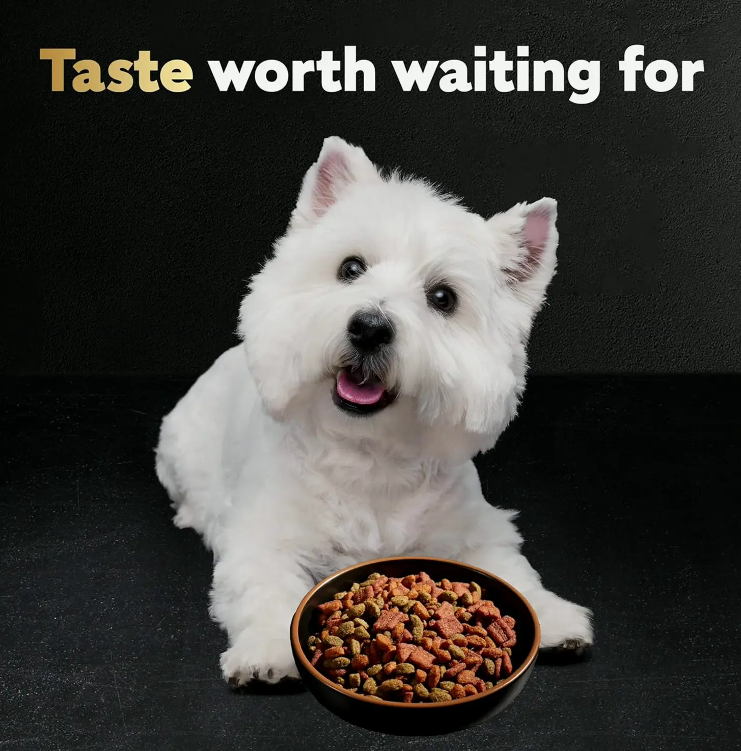 Compact Size Dog Food, Steak Medallion Flavor, 5 lb Bag