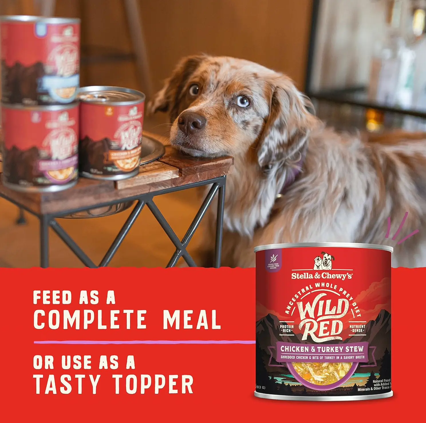 S&C's Wild Red Chicken & Gobble Stew, High Protein-Rich Dog Food, 10 Ounce, 6-Pack