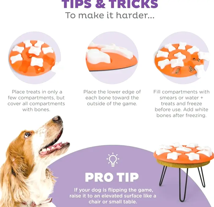 Interactive Dog Treat Puzzle Toy