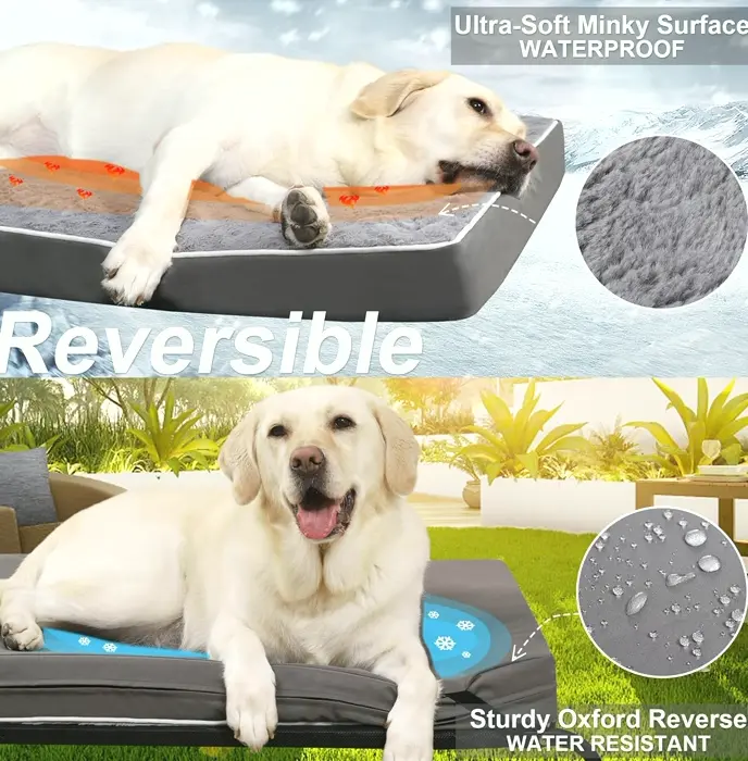 Orthopedic Dog Bed made for Large Dogs - Foam & Machine-washable Cover, 36" x 27", Supports up to 65 lbs